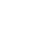 Televizor